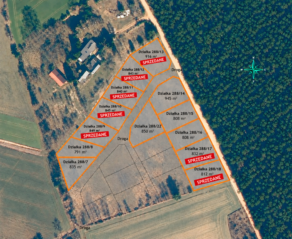 Widok na las, 5 min od miasta