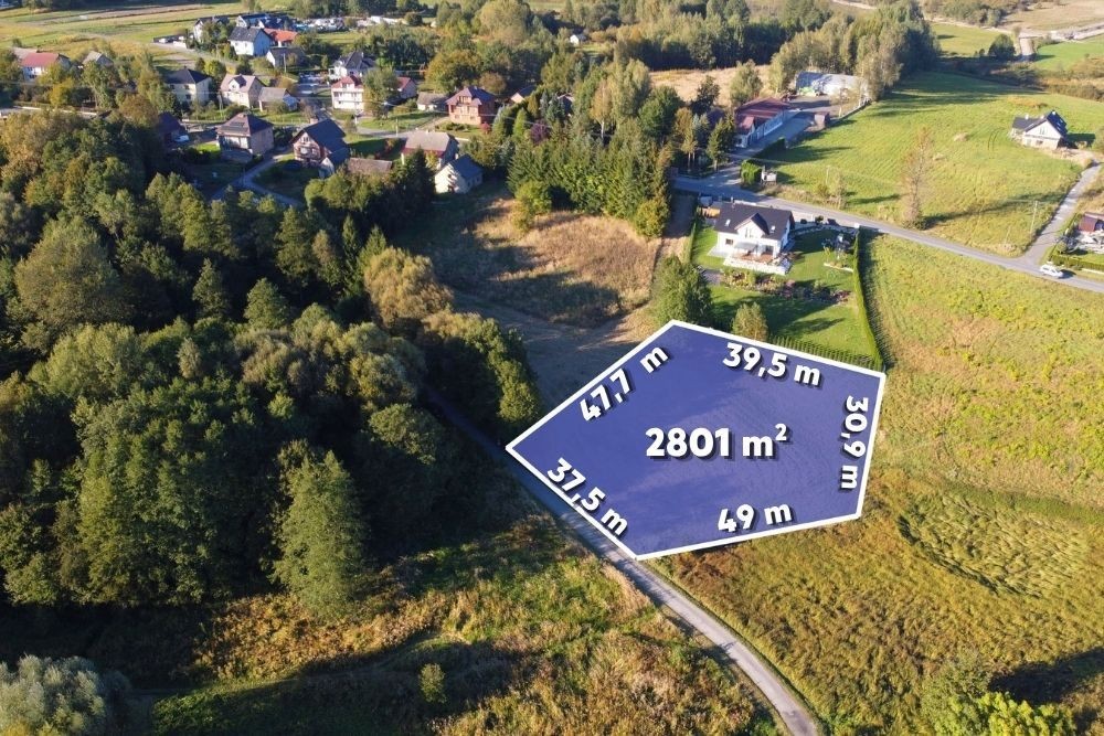 Zdjęcie 4