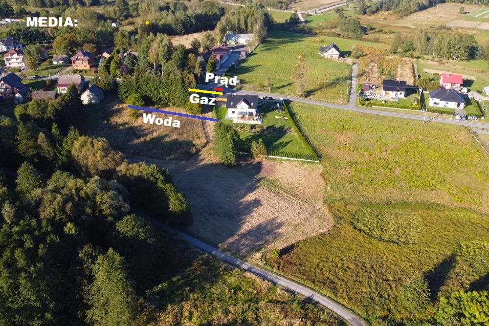 Zdjęcie 8