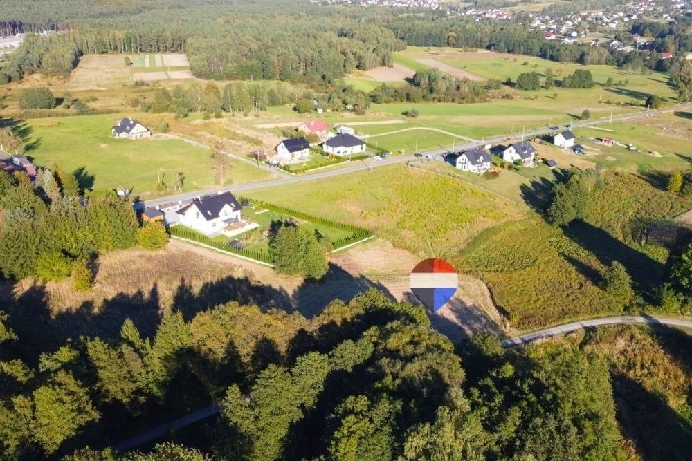 Zdjęcie 12