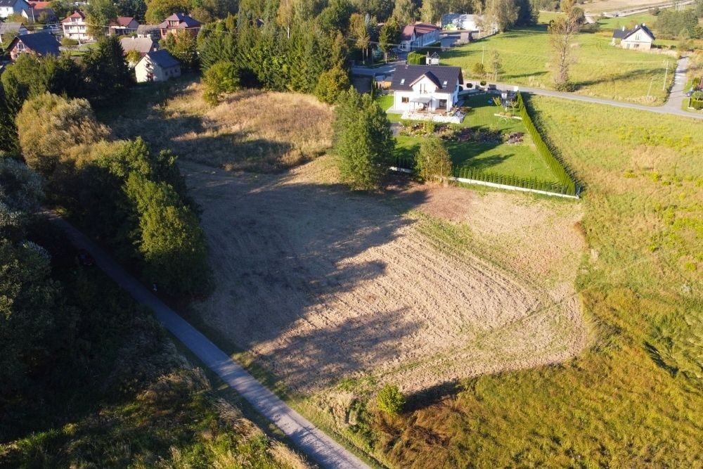 Zdjęcie 13