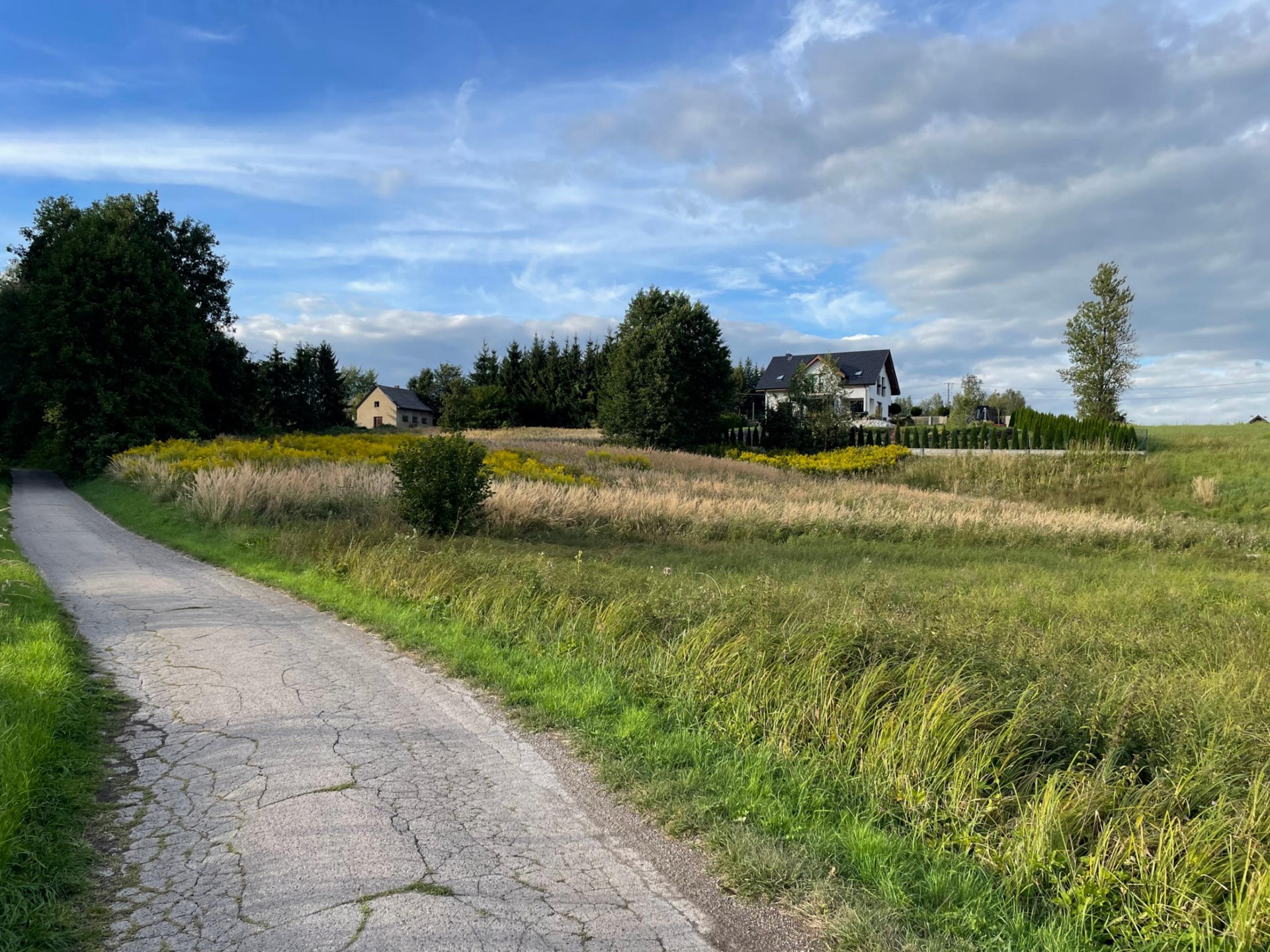 Zdjęcie 16
