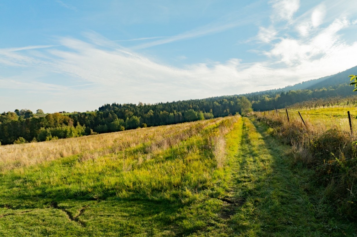 Zdjęcie 16