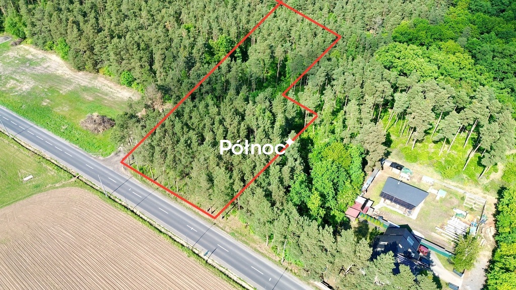 Zdjęcie 5