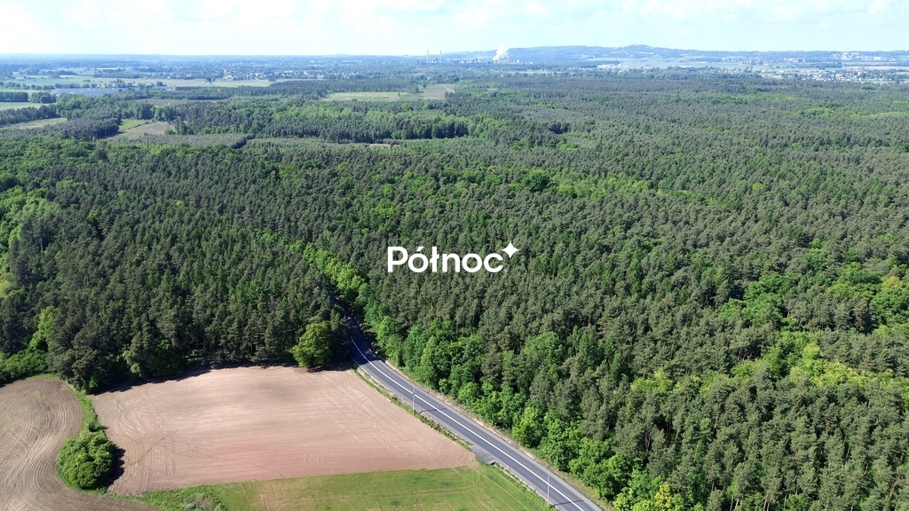 Zdjęcie 8