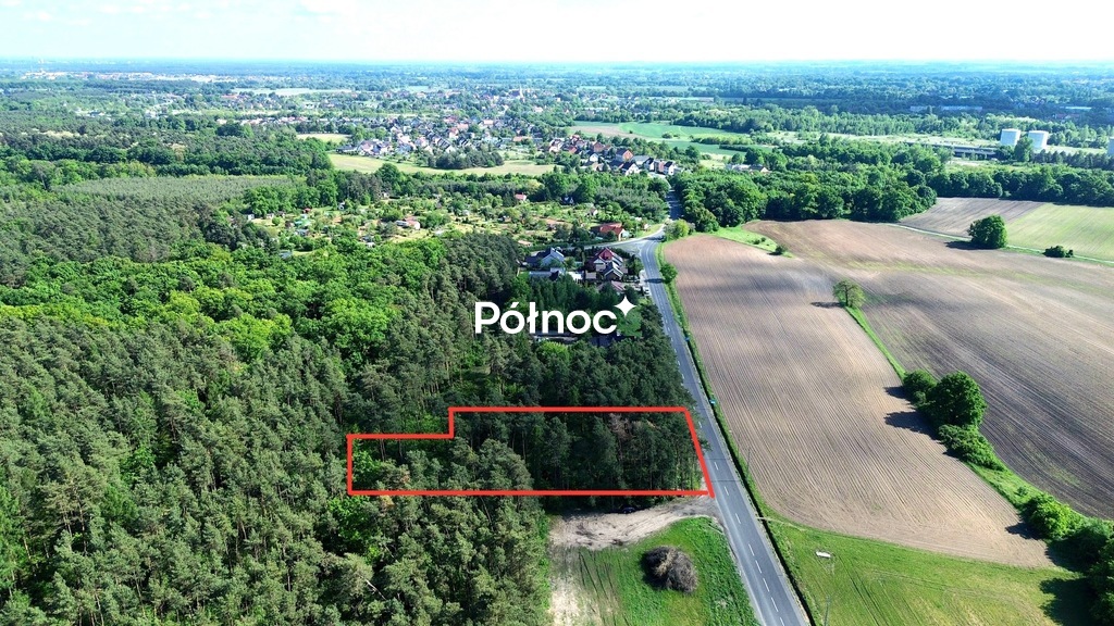 Zdjęcie 13