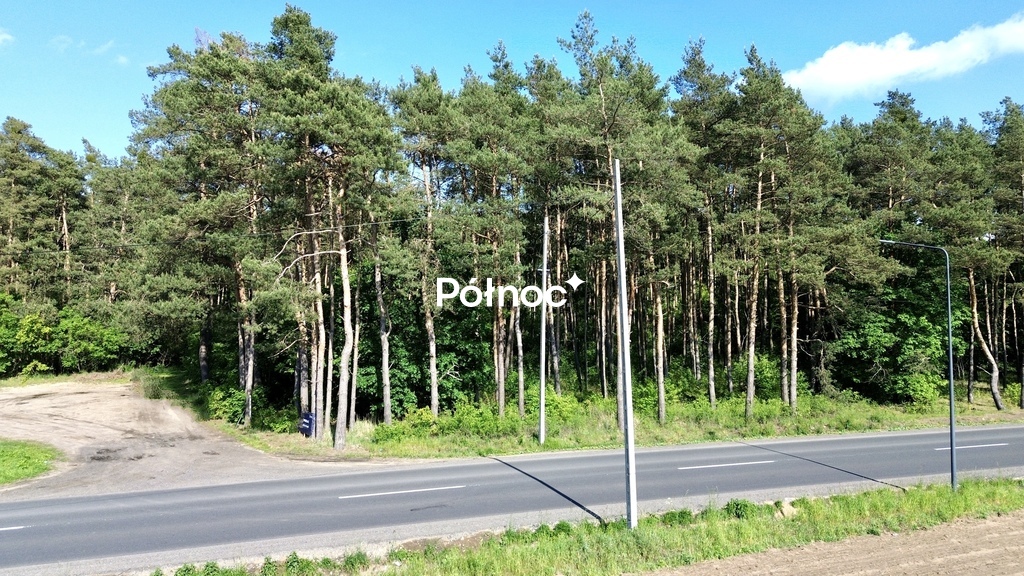 Zdjęcie 15