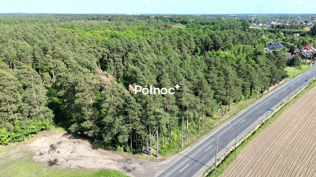 Zdjęcie 17