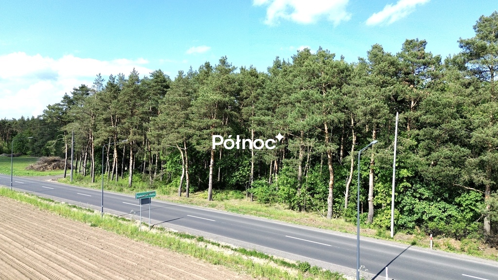 Zdjęcie 18