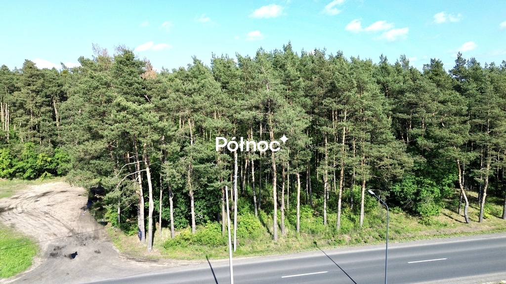 Zdjęcie 19