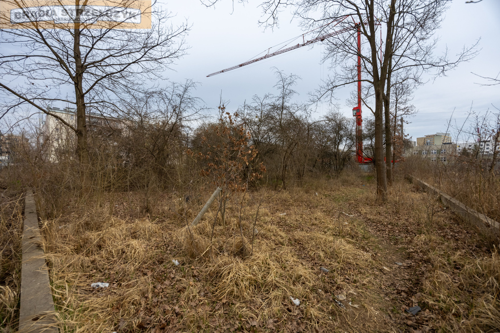 Zdjęcie 13