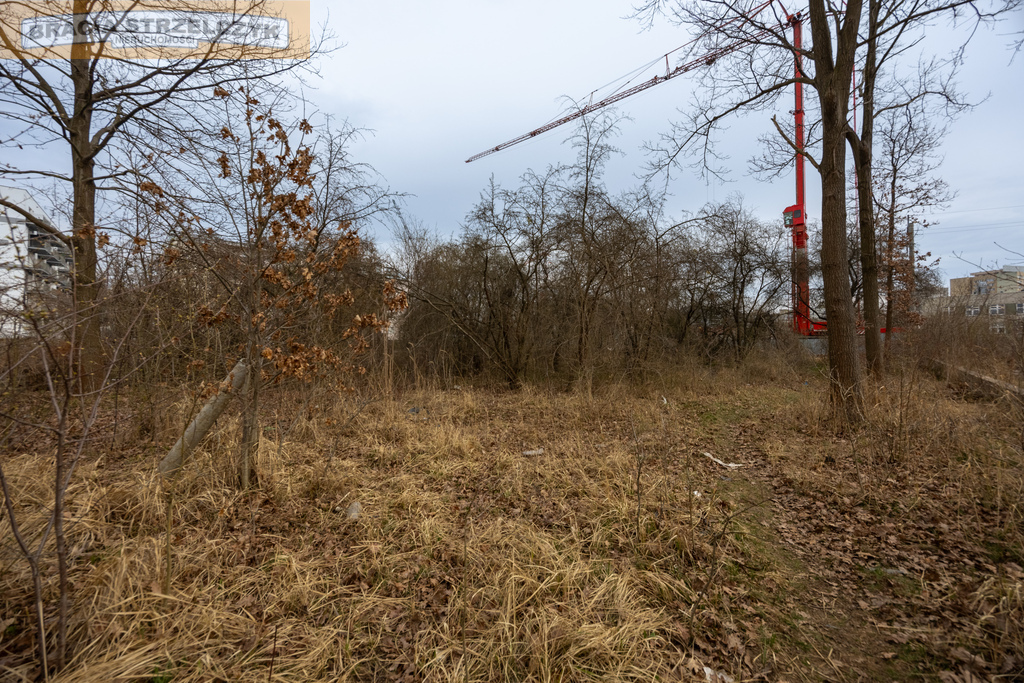 Zdjęcie 14