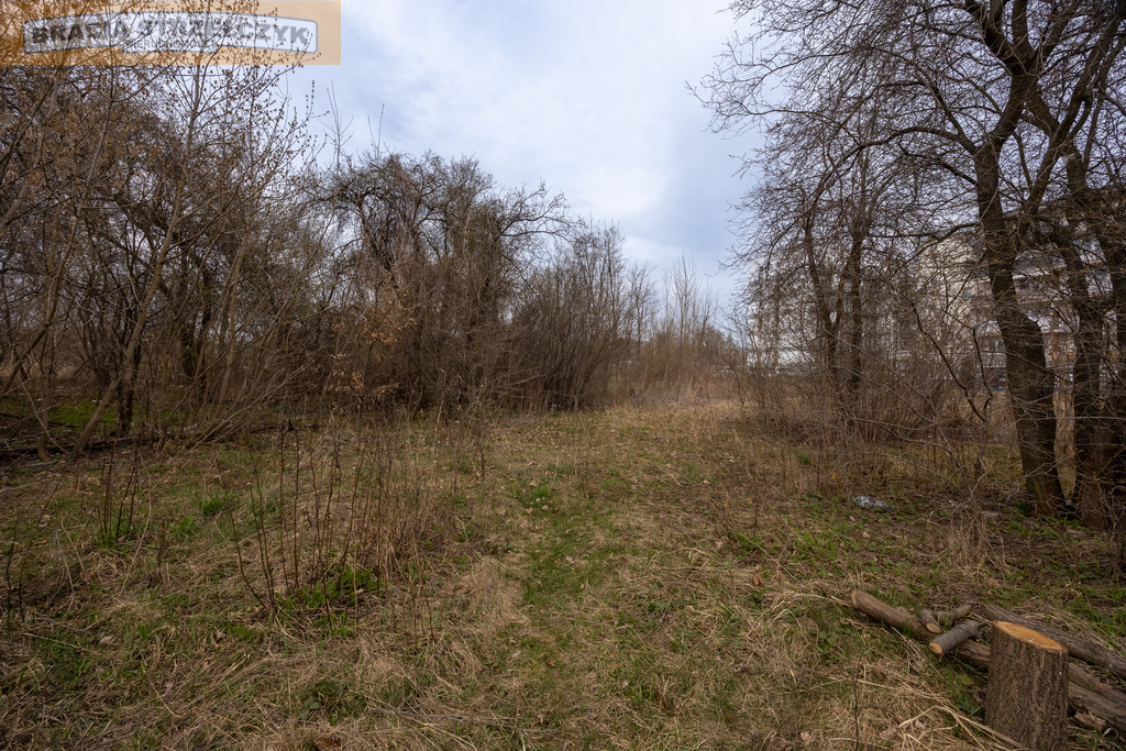 Zdjęcie 16