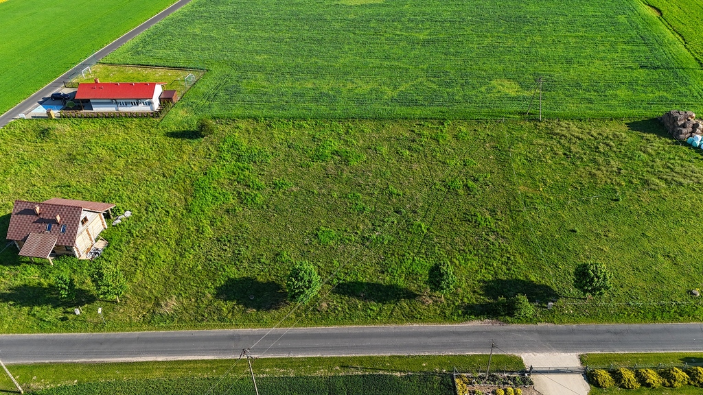 Zdjęcie 12