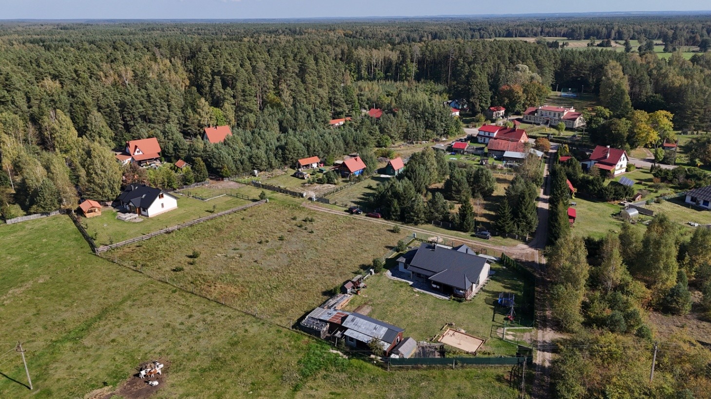 Zdjęcie 5