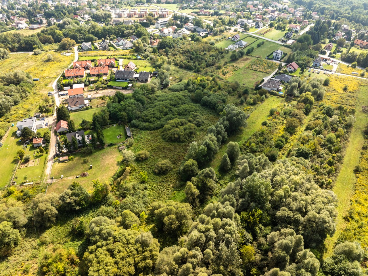Zdjęcie 5