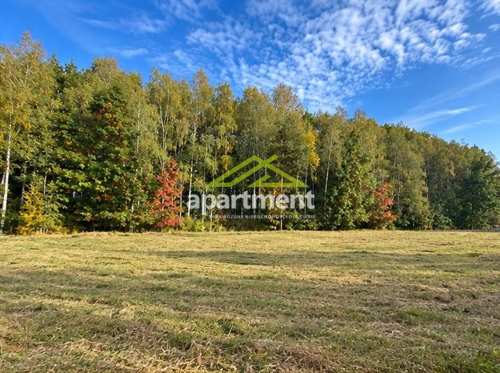 Działka rolna 1 228 m², Dąbrowa Tarnowska