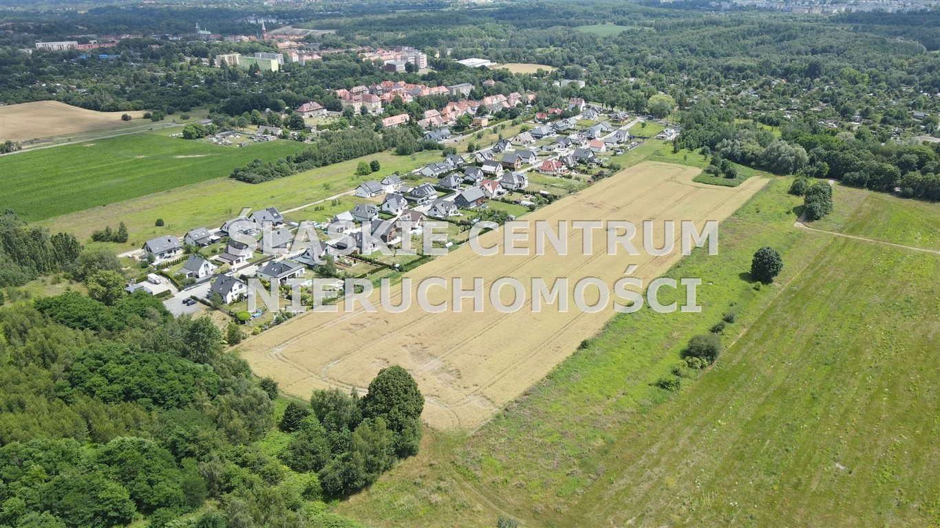 Zdjęcie 3