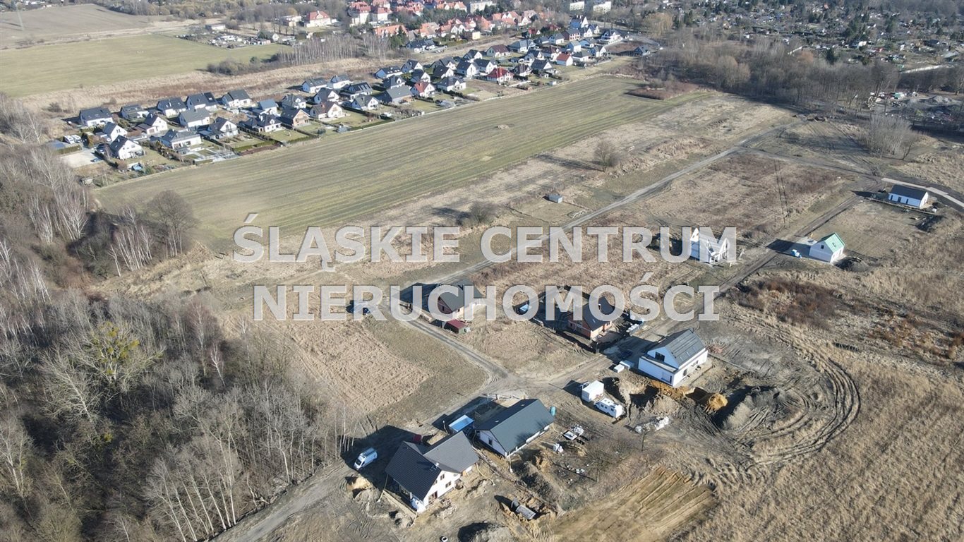 Zdjęcie 5