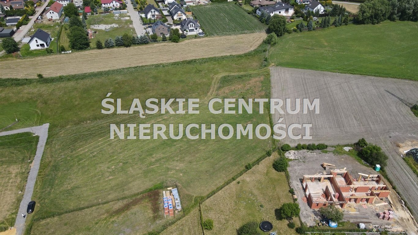 Zdjęcie 6