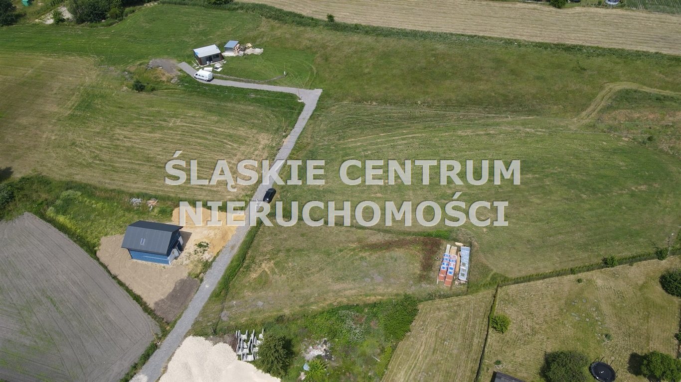 Zdjęcie 7