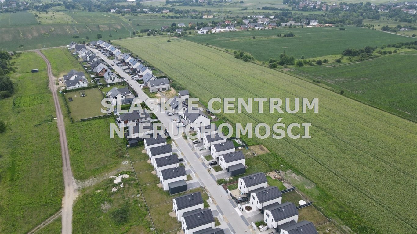 Zdjęcie 5