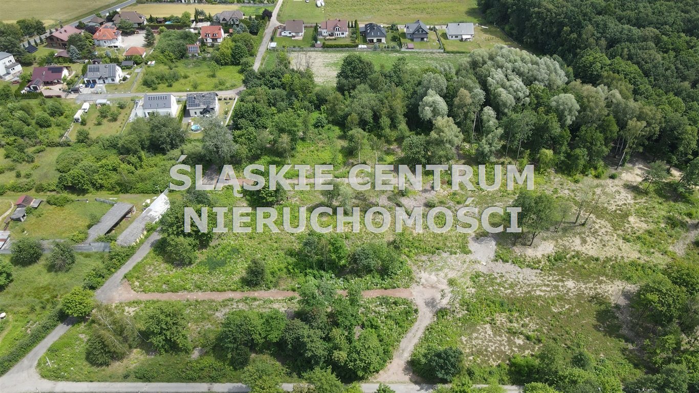 Zdjęcie 2