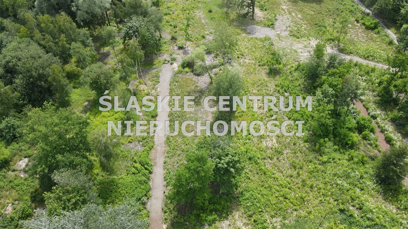 Zdjęcie 4