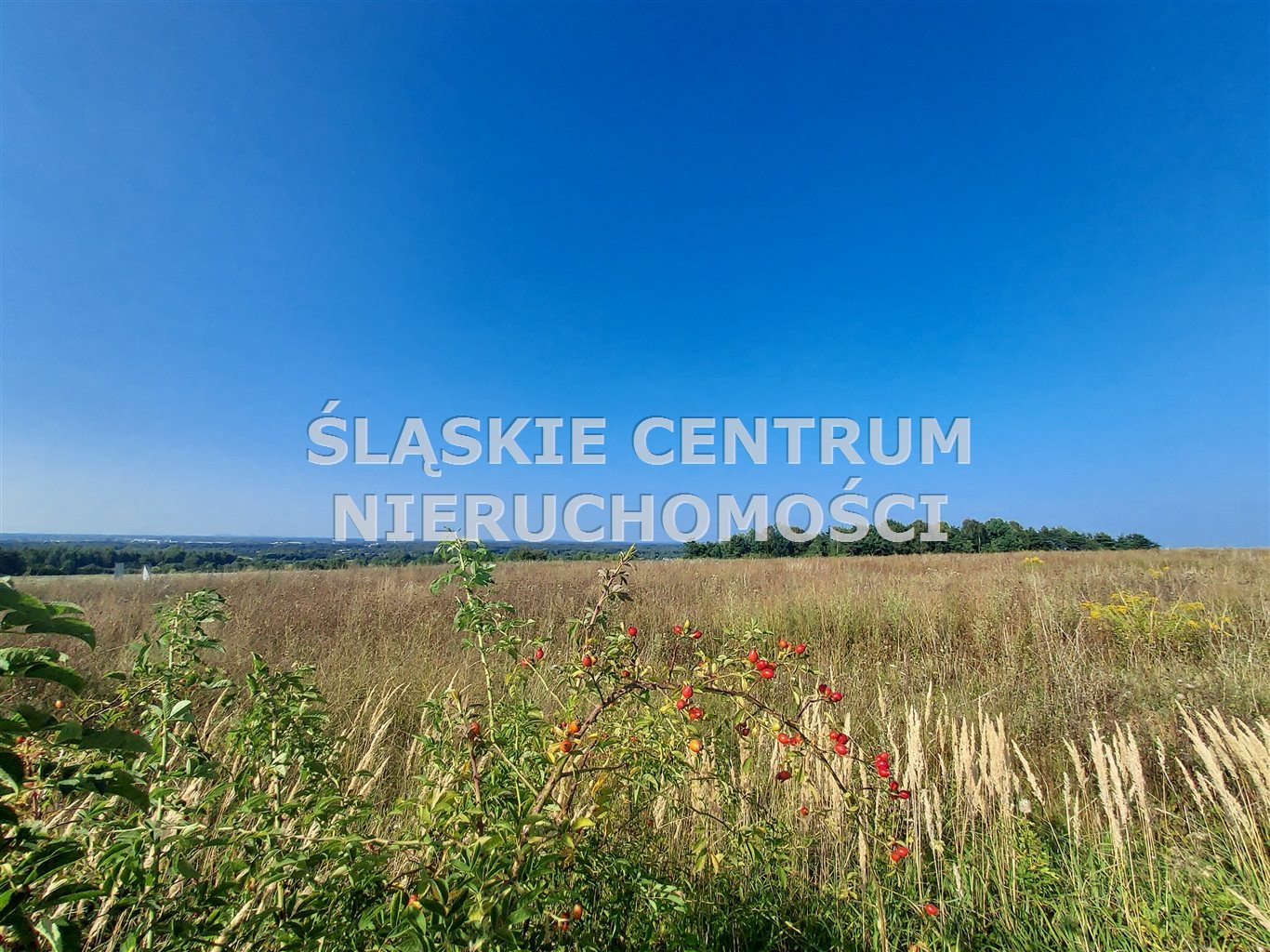 Działka budowlana 610 m², Sadowie