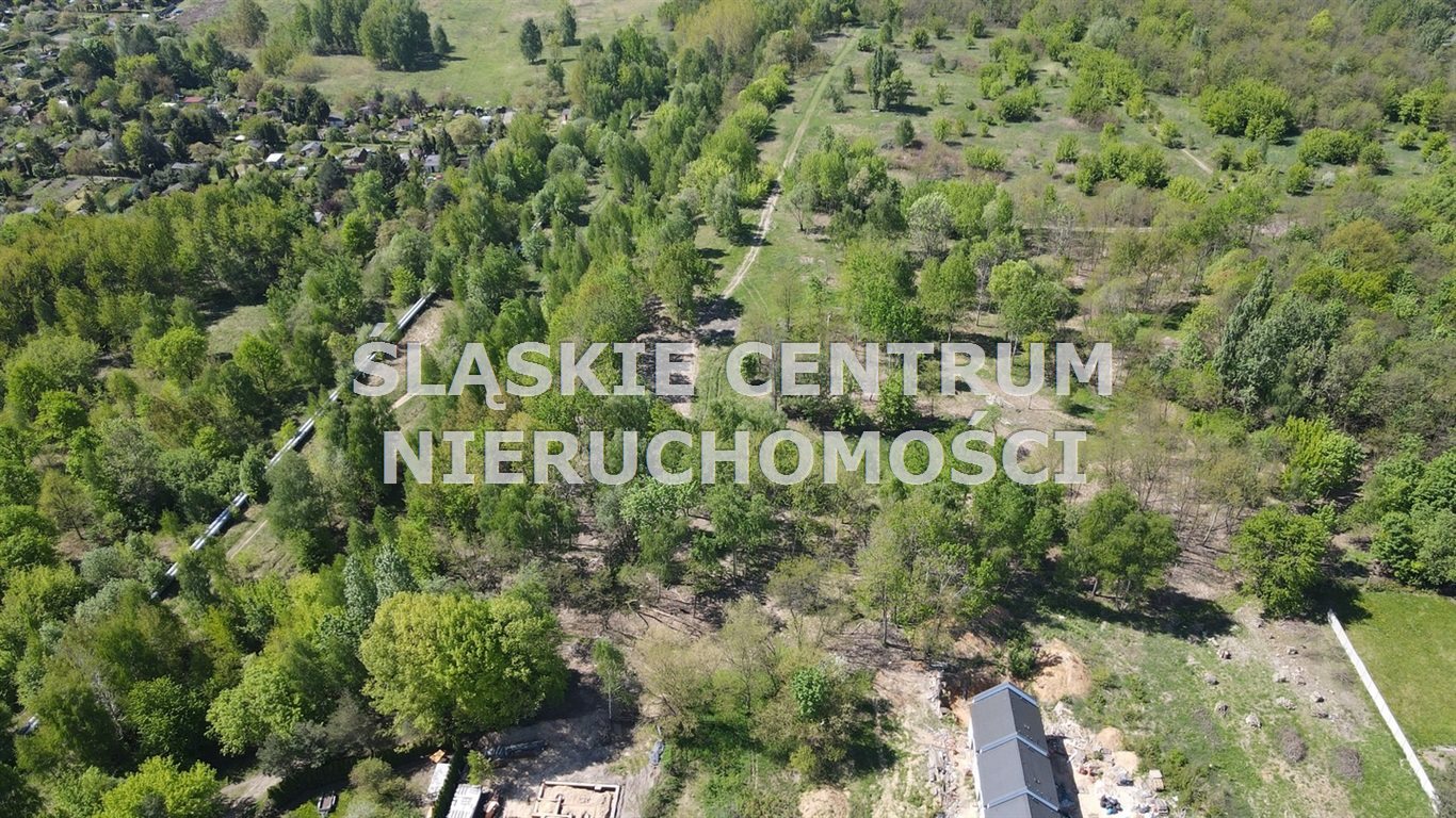 Zdjęcie 2