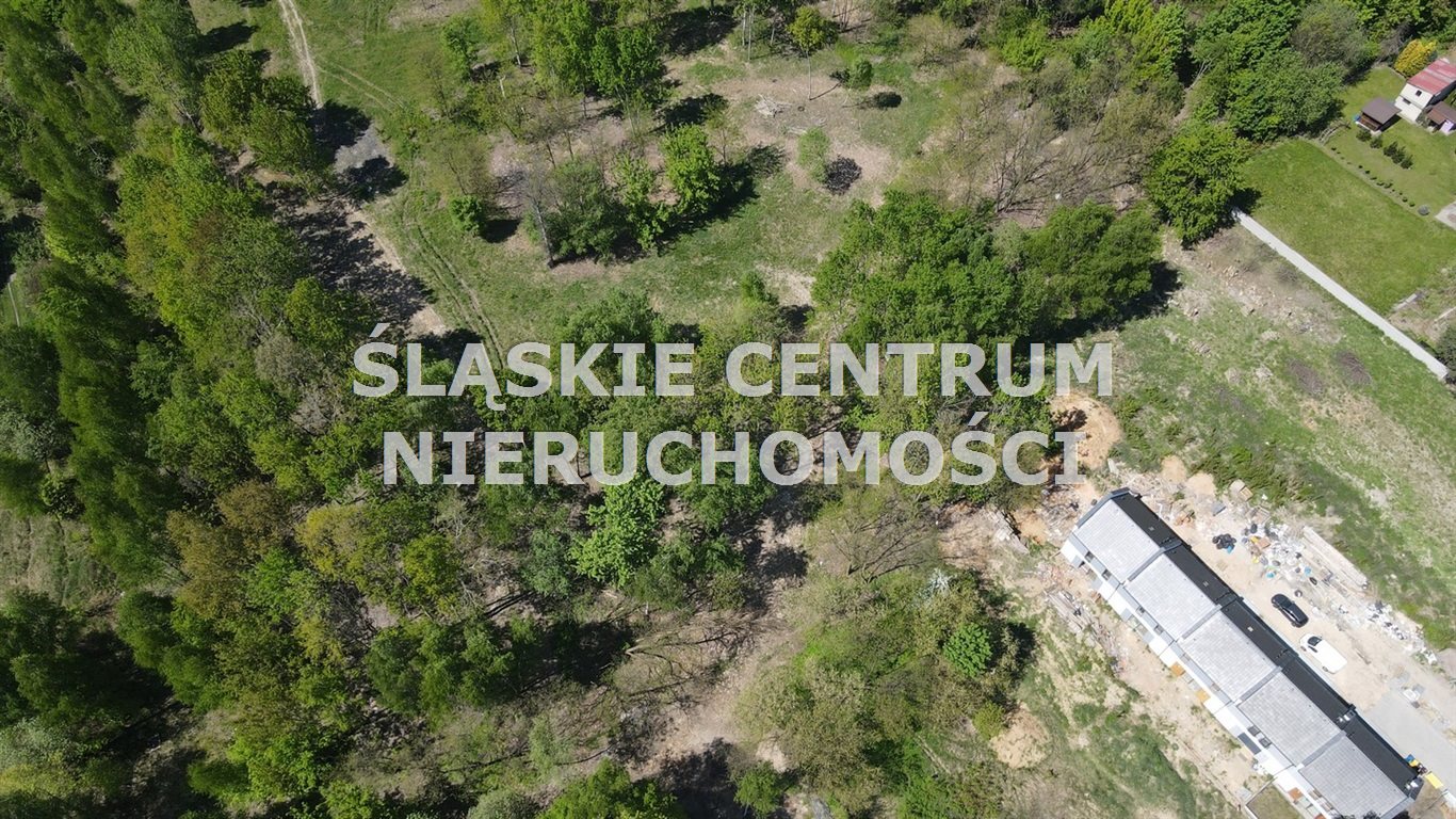 Zdjęcie 3