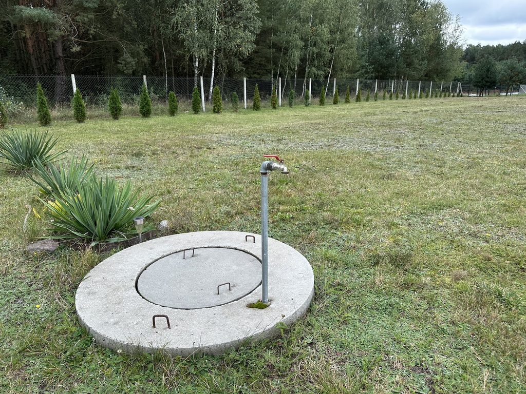Zdjęcie 7