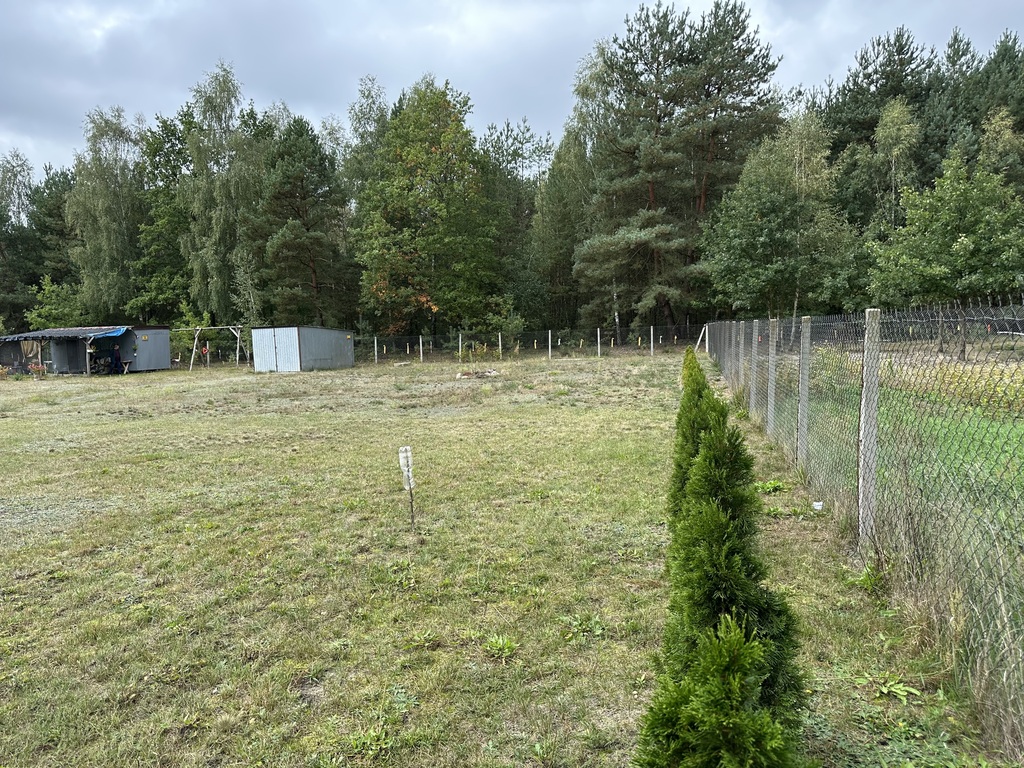 Zdjęcie 8