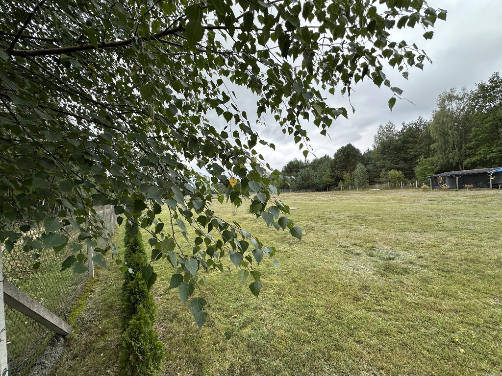 Zdjęcie 14