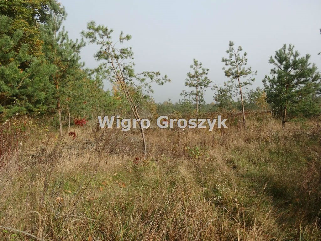 Działka budowlana 1 000 m², Wymysły