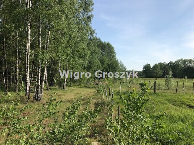 Działka budowlana 3 000 m², Secymin Polski