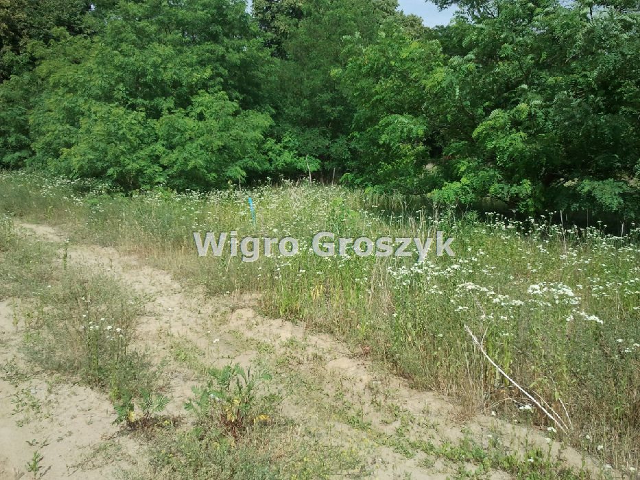 Zdjęcie 2
