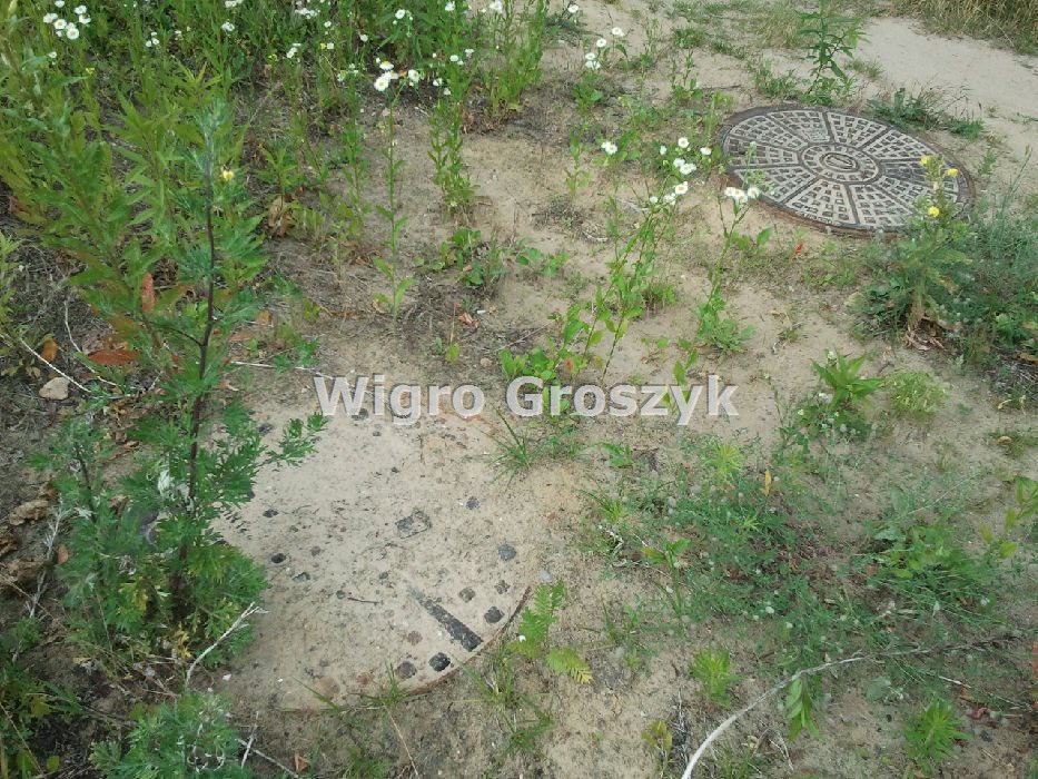 Zdjęcie 3