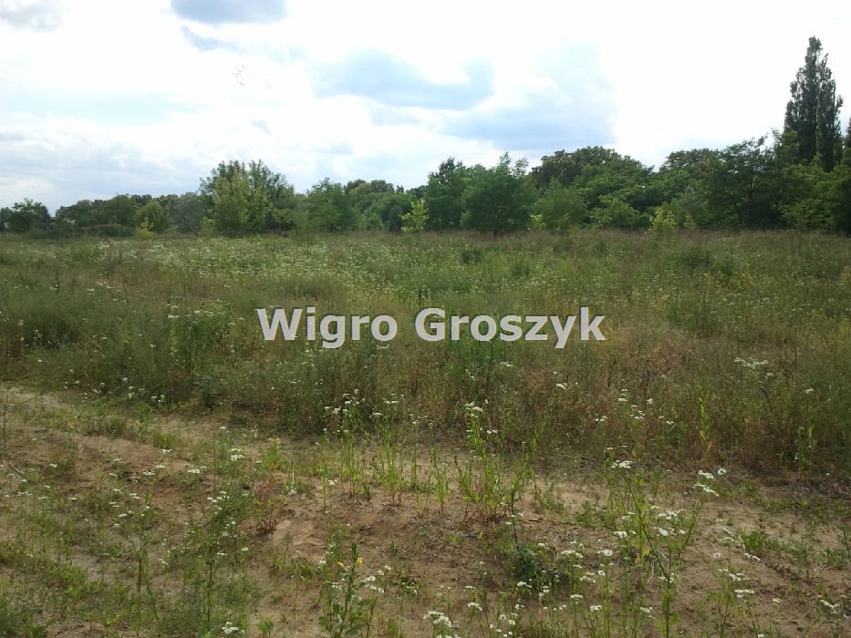 Zdjęcie 3