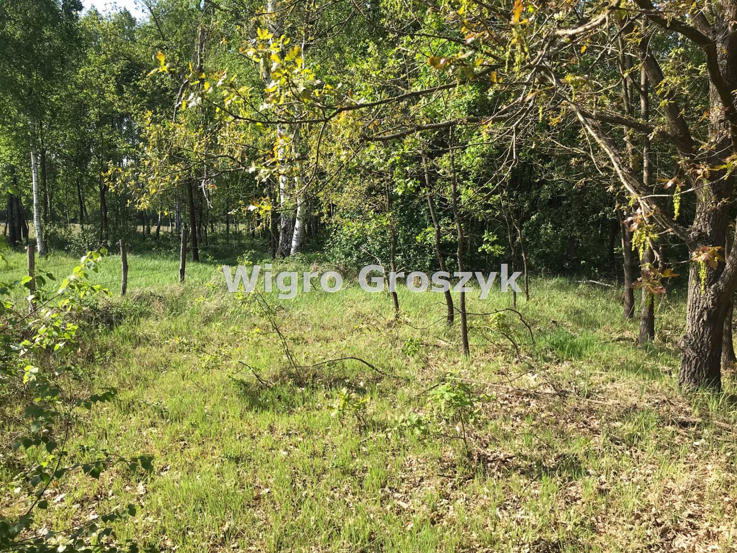 Działka leśna 3 000 m², Secymin Polski