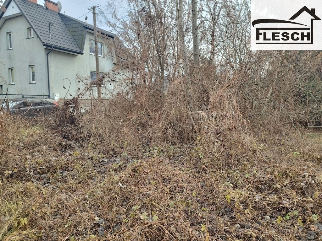 Zdjęcie 4