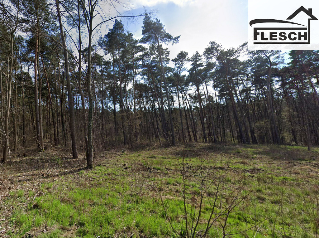 Działka leśna 2 100 m², Otrębusy