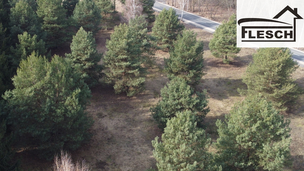 Działka budowlana 1 197 m², Ojrzanów