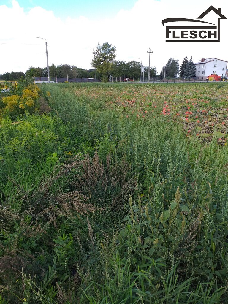 Działka budowlana 750 m², Pogroszew-Kolonia