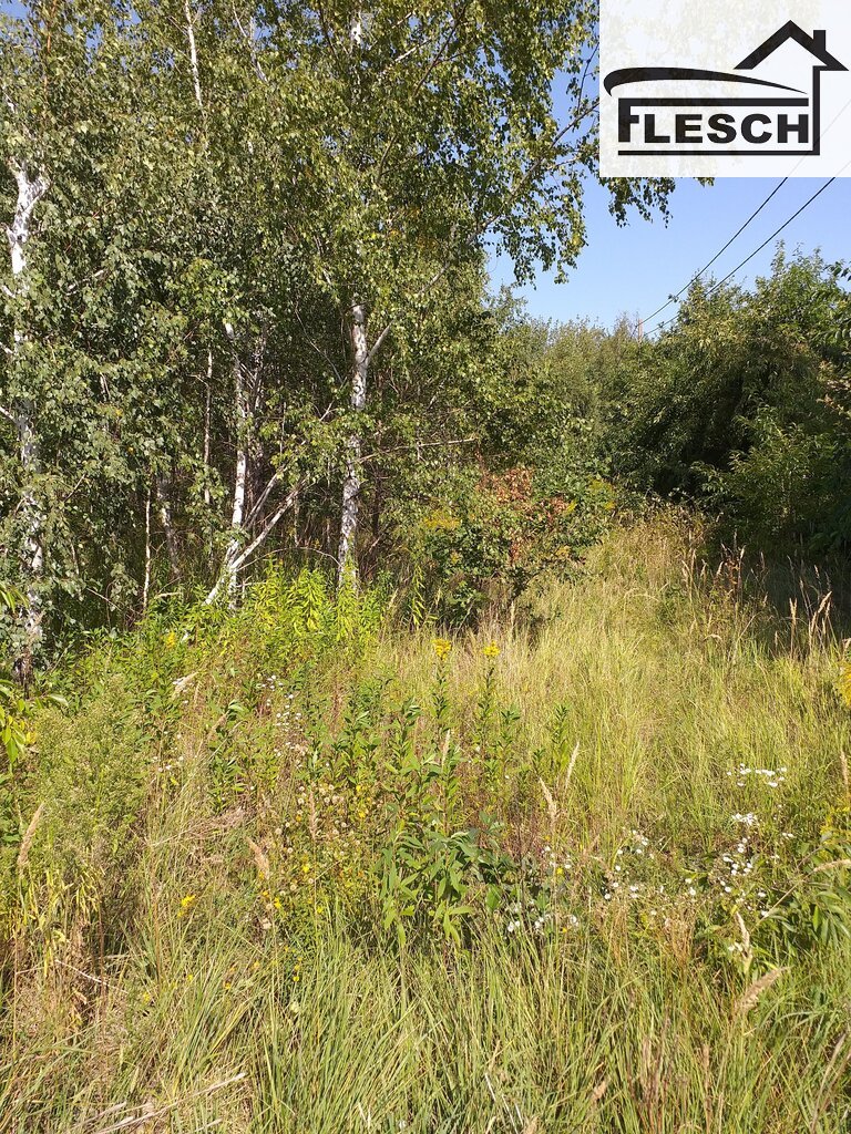 Zdjęcie 5