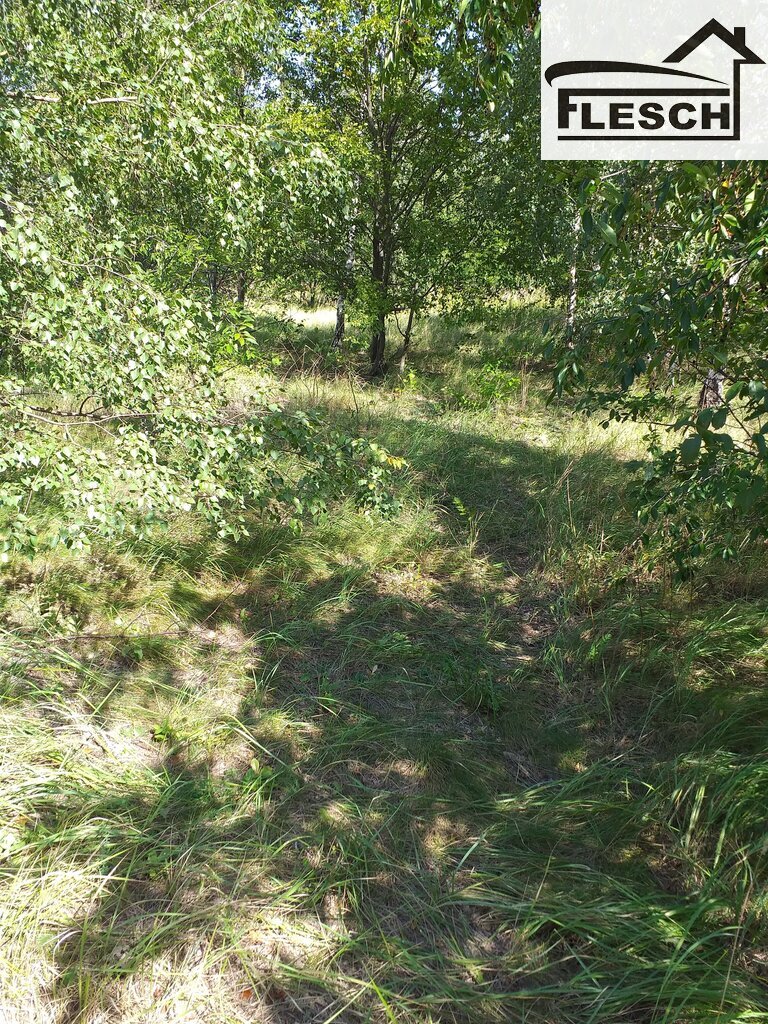 Zdjęcie 10