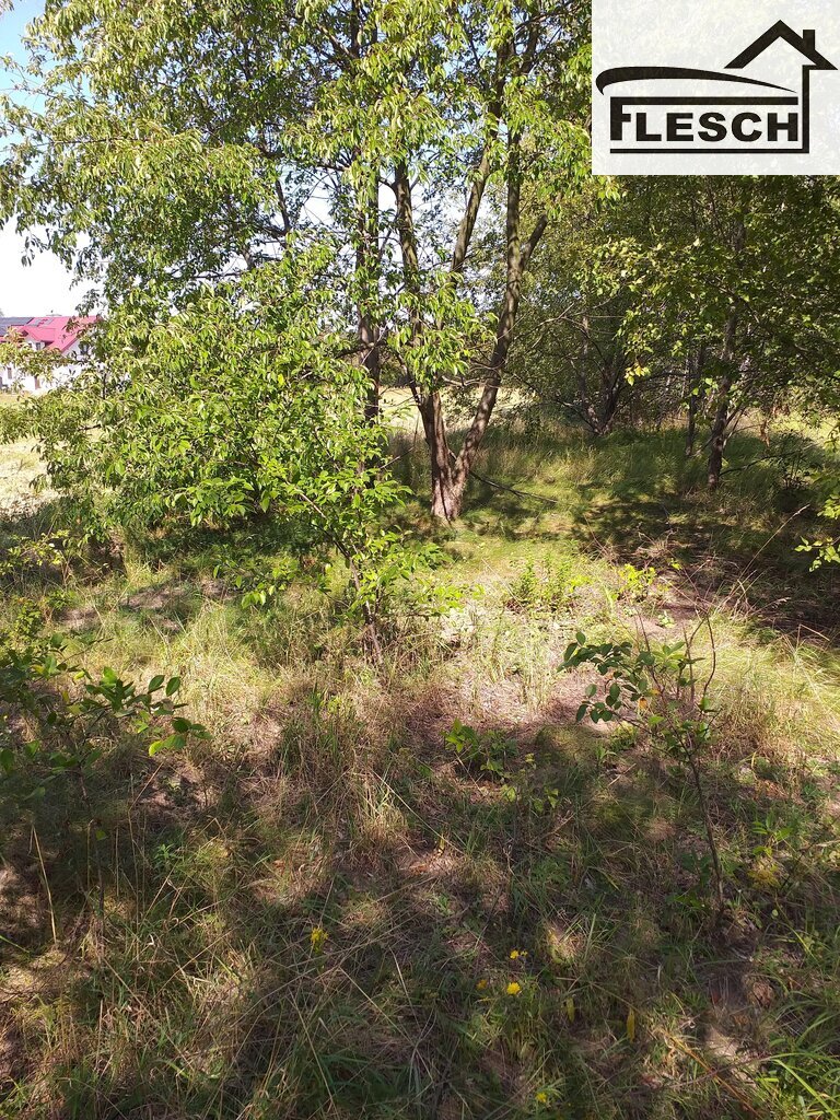 Zdjęcie 11
