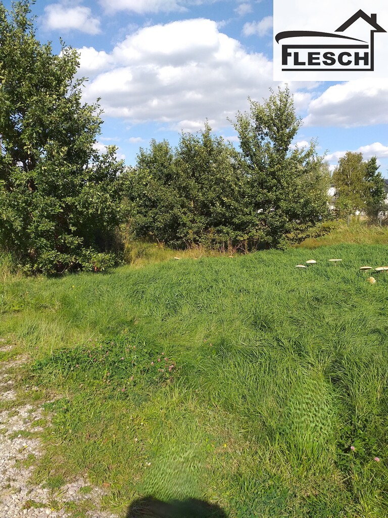 Działka budowlana 1 700 m², Żółwin