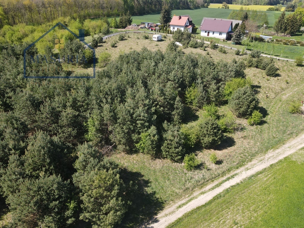 Zdjęcie 12