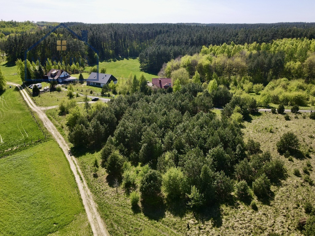 Zdjęcie 14